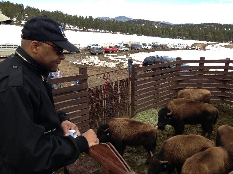 Man with bison