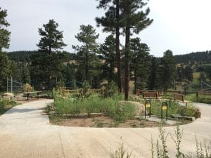 New Bison Overlook at Stapleton Drive, Exit 253