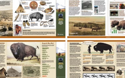 Interpretive Signage