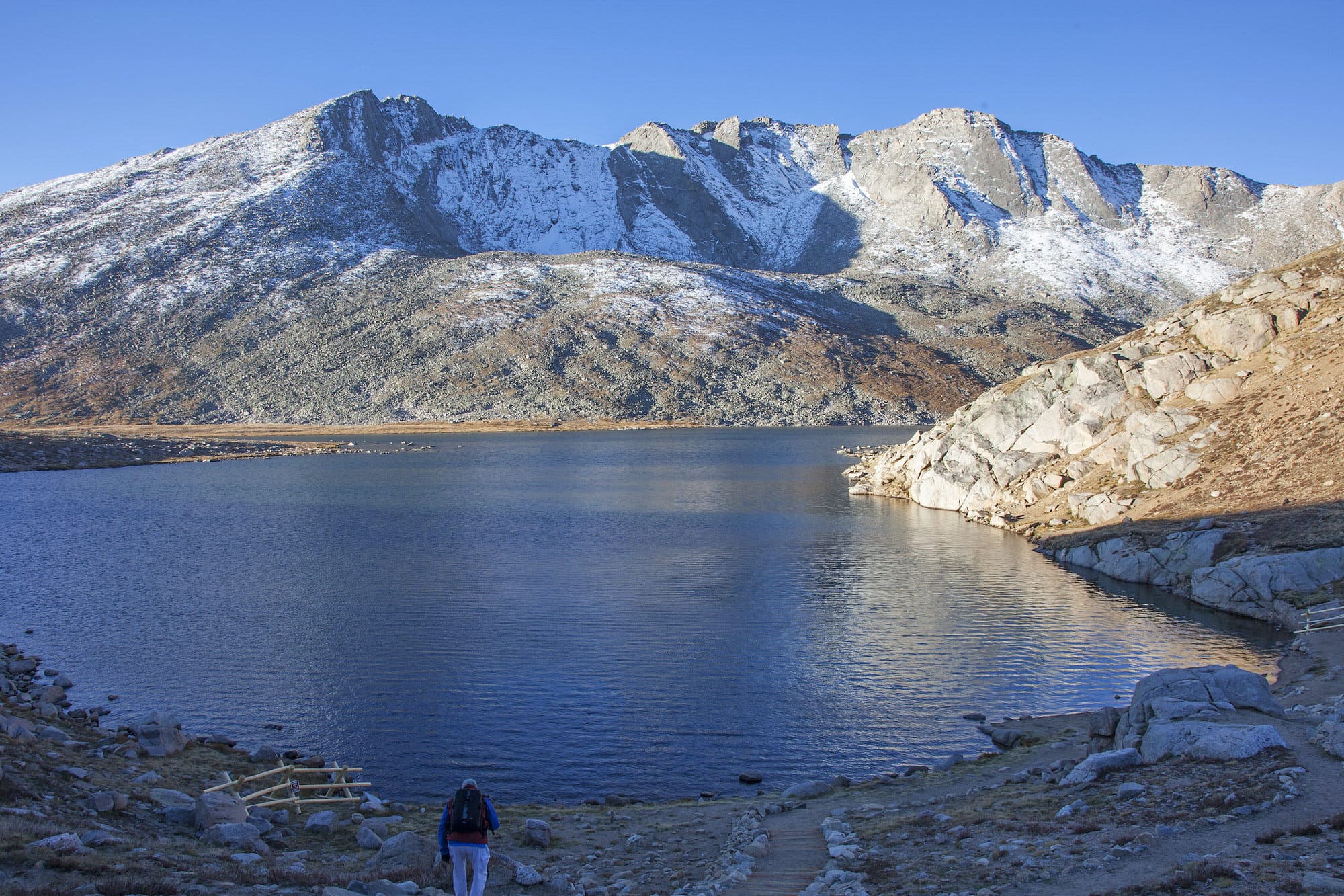 Photos of bison at Denver Mountain Parks