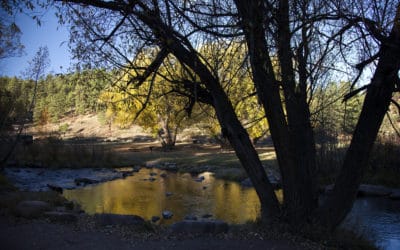 Corwina, O’Fallon, and Pence Parks