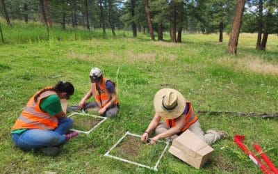 You can help create the next generation of Conservationists