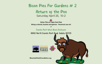 ITS BACK AND BETTER THAN EVER!